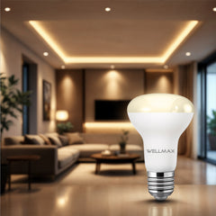 R63 - LED Wellmax Samsung