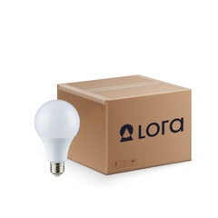 A60 - LED Lora (Box- 50 Pcs)